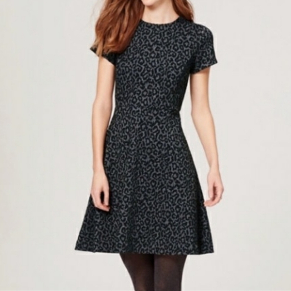 Loft fit and flare leopard dress